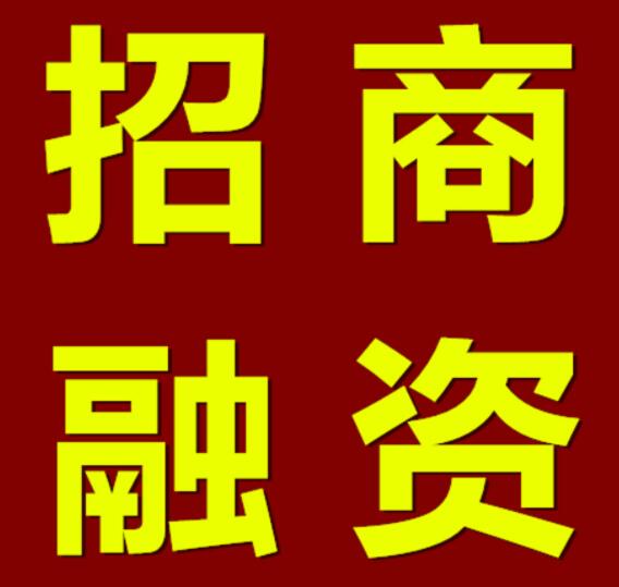 招商融资培训的融资渠道中适合乡村旅游的有哪几种？